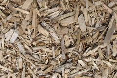 biomass boilers Whittonstall